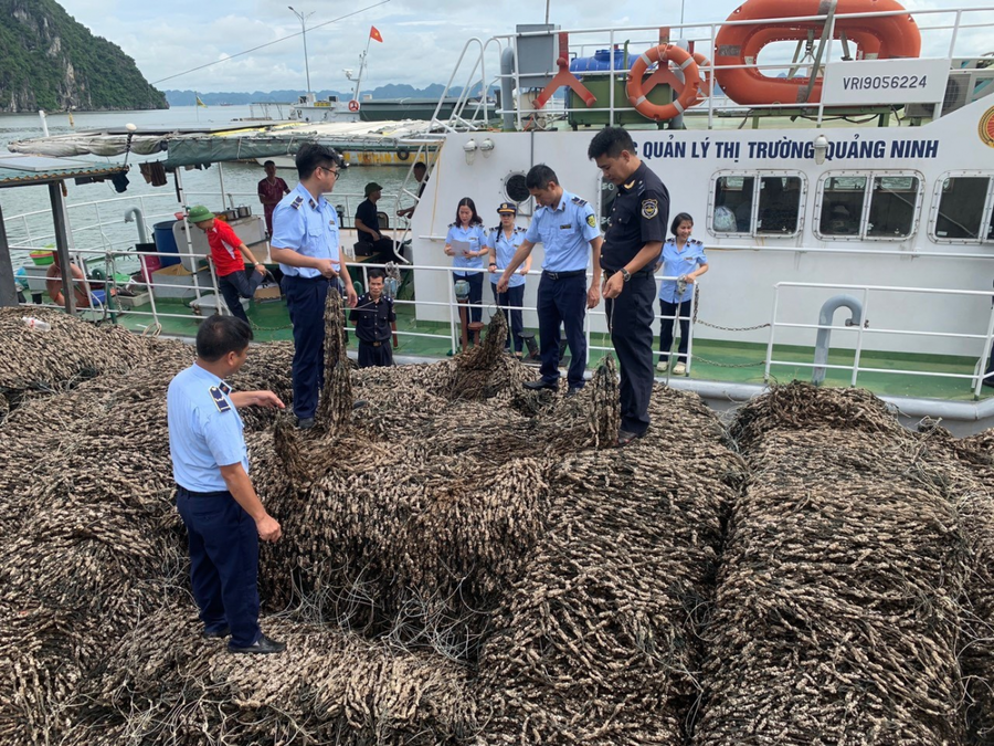 Lực lượng QLTT tỉnh Quảng Ninh đã lập biên bản và chuyển giao hồ sơ vụ án cho cơ quan Cảnh sát điều tra tiếp tục xác minh, làm rõ. Ảnh Cục QLTT Quảng Ninh
