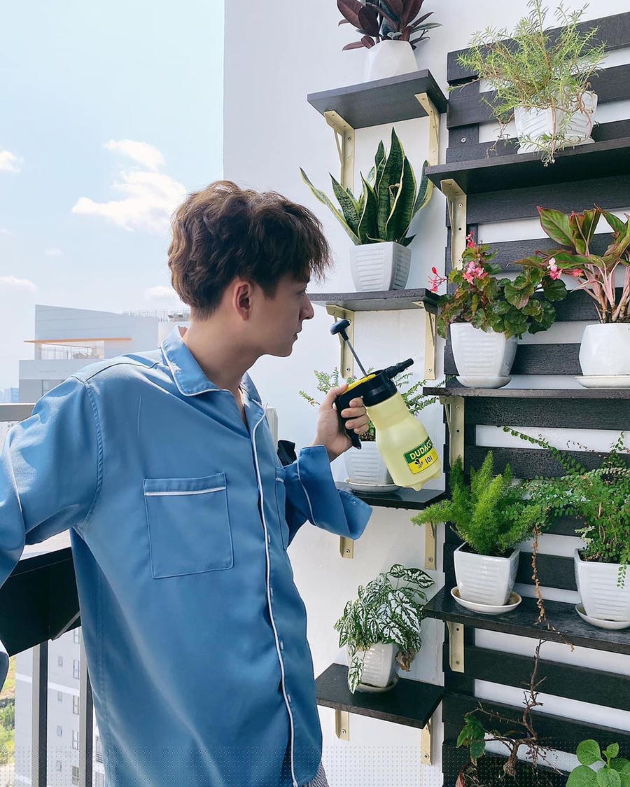 ngoc trinh binh than truoc thi phi, hari won voi vang bao tin vui hinh anh 5