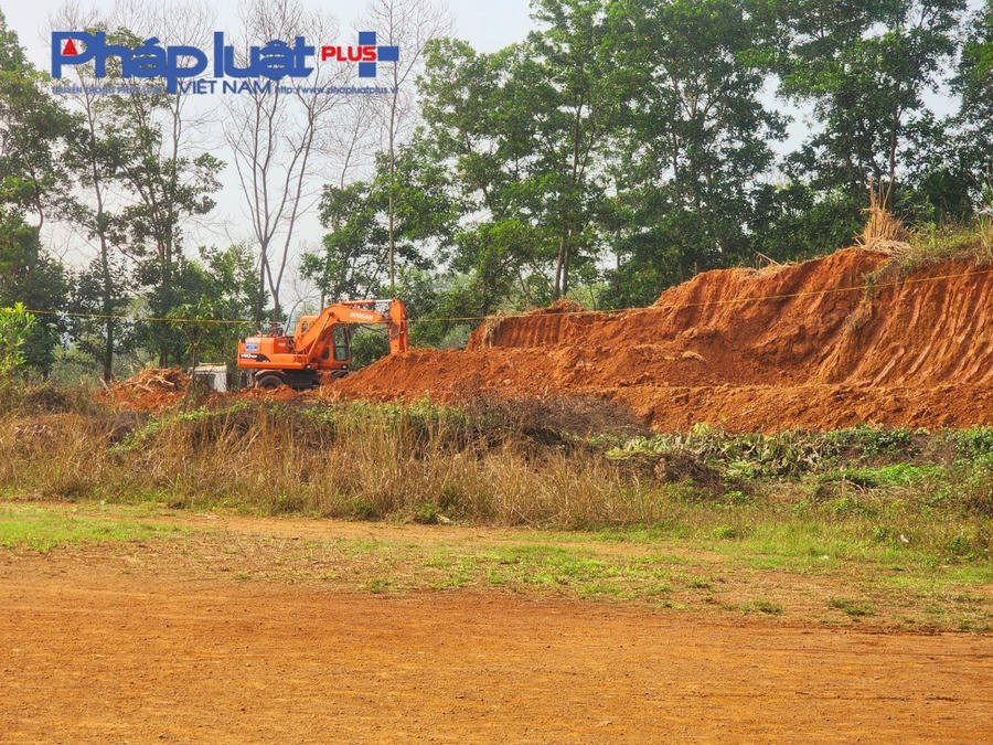 z4106037374122_f08da9a8be402abbac8b6da360f6d506