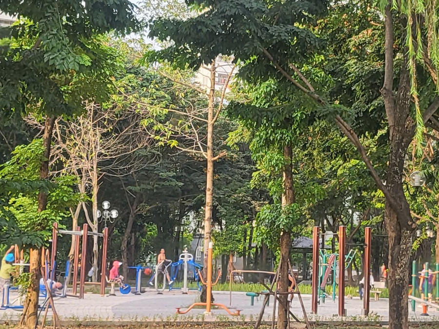 Khu tập thể thao cho người lớn cũng đã được lắp đặt thiết bị