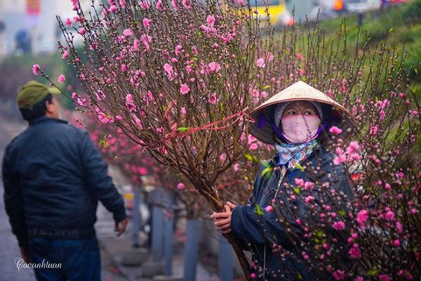 Chợ hoa Quảng Bá khi vào dịp Tết đến Xuân về (Ảnh: vietnam.vn)