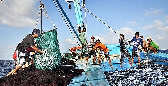 Từ ngày 20/5, khai thác thủy sản trong khu vực cấm bị phạt tới 90 triệu đồng
