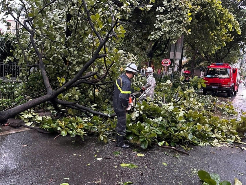Lực lượng Cảnh sát PCCC&CNCH xử lý cây gẫy đổ.