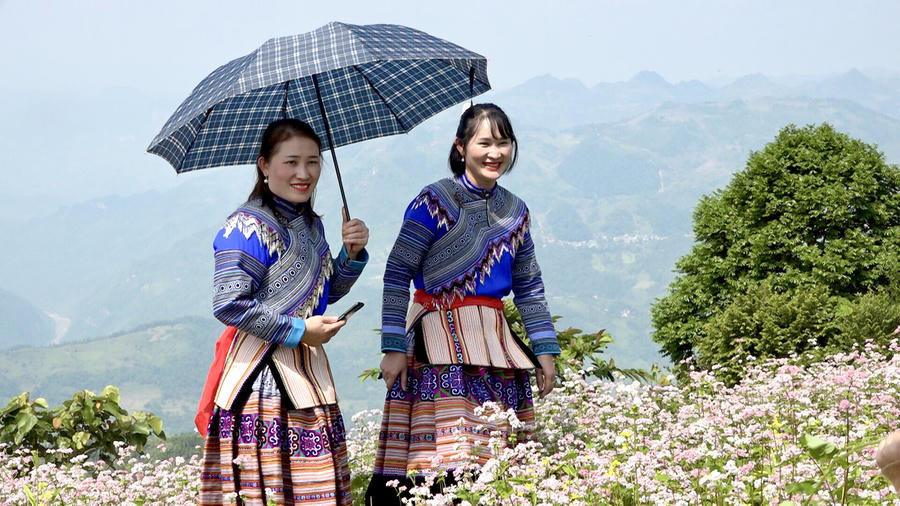 diem tham quan nui tình (7)