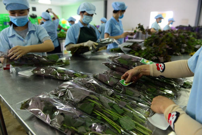 Mùa hè đáng nhớ tại nơi