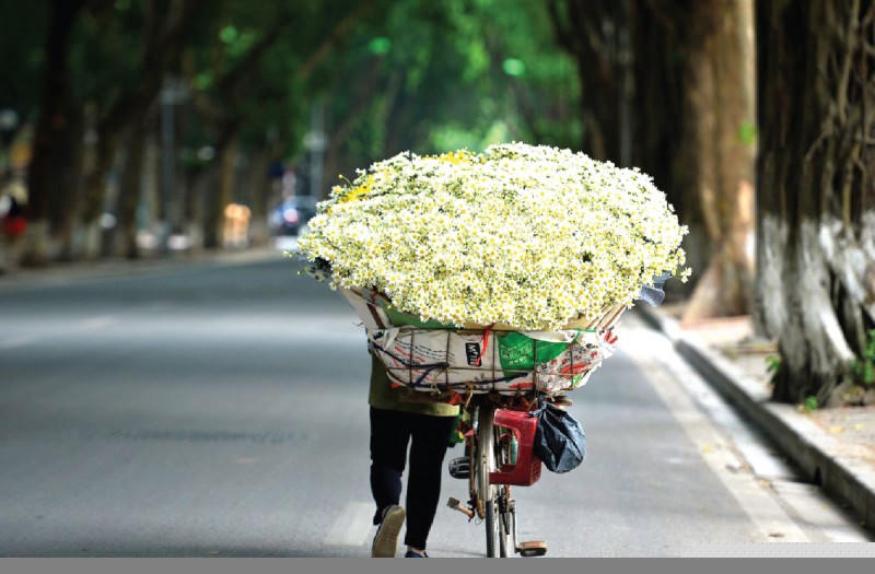 Tôi thương quý những gánh hàng rong tảo tần không quản bao mùa nắng, mưa.