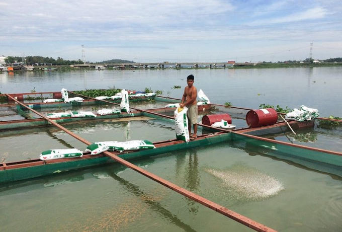 Sắc xu&acirc;n ở l&agrave;ng c&aacute; b&egrave; La Ng&agrave;