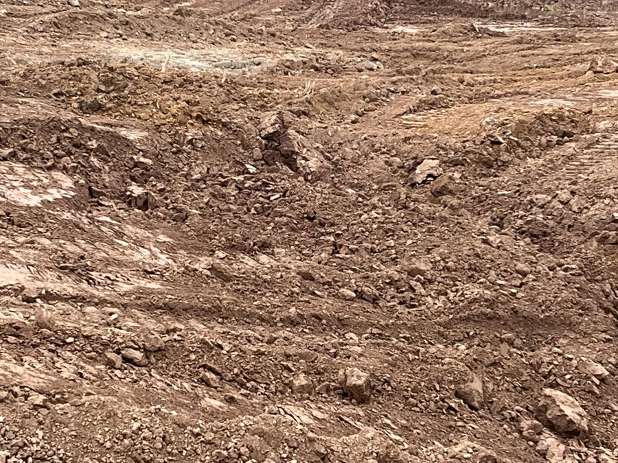 z4128072846890_f172af416473267b145e990971eeb6ec (1)