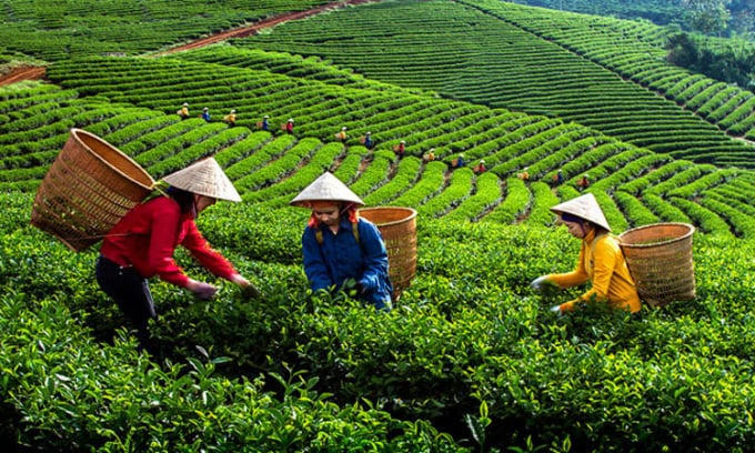 sua-quy-dinh-chuyen-cong-ty-nong-nghiep