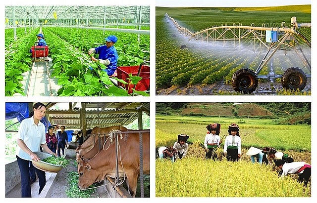 Tổng điều tra nông thôn, nông nghiệp năm 2025 trên phạm vi cả nước từ 1/7.