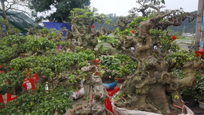 Phong ph&uacute; h&agrave;ng h&oacute;a tại phi&ecirc;n chợ &ldquo;mua may, b&aacute;n rủi&rdquo;