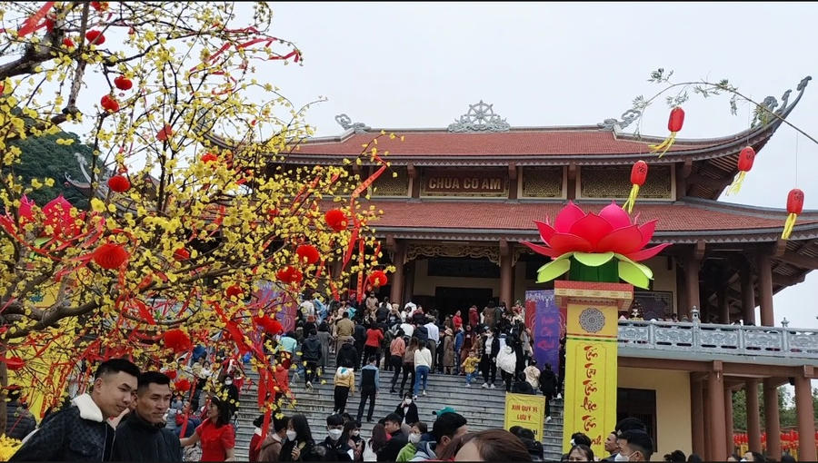 Screenshot_2023-01-26-14-34-04-50_dba69a5e82e939c3ddef13f99a115ca3~2