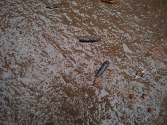 Những đầu đạn vương vãi khắp mọi nơi. Ảnh Nguyễn Gia Hạnh.