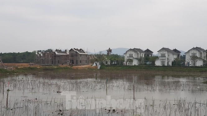 Bên trong dự án Vườn Vua hơn 1.400 tỷ vướng hàng loạt sai phạm ở Phú Thọ - ảnh 10