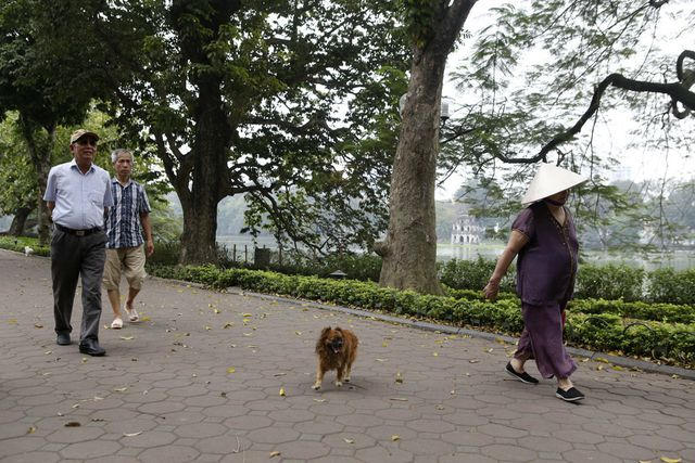 Người già thả bộ chầm chậm bên bờ hồ Hoàn Kiếm.