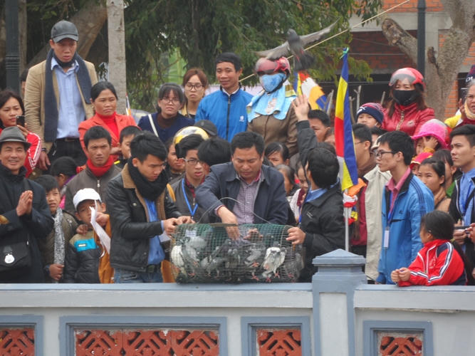 Phóng sinh tích nhiều công đức.