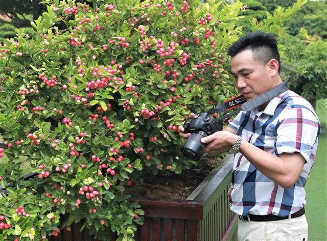 Theo ông Nguyên, việc thổi giá hoa lan là nguyên nhân khiến thị trường nhiễu loạn