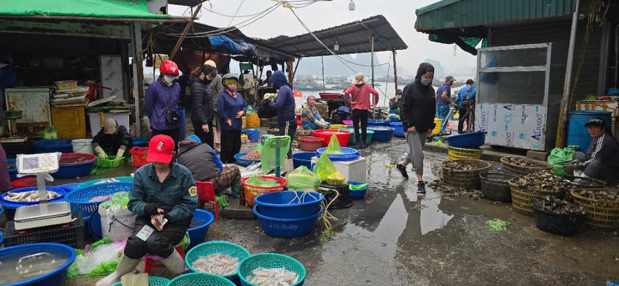 Khu vực cảng cá Bến Do còn là nơi trao đổi mua bán quen thuộc của người dân nơi đây sát bờ biển thuận tiện cho việc mua hải sản của ngư dân đi biển.