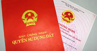 Hình minh họa.