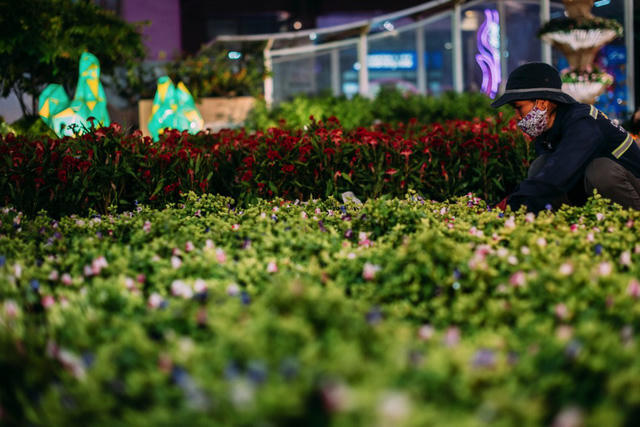 Đường hoa Nguyễn Huệ k&eacute;o d&agrave;i th&ecirc;m ng&agrave;y hội