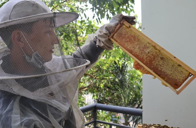 Cú sốc thuế hơn 400% với mật ong Việt Nam