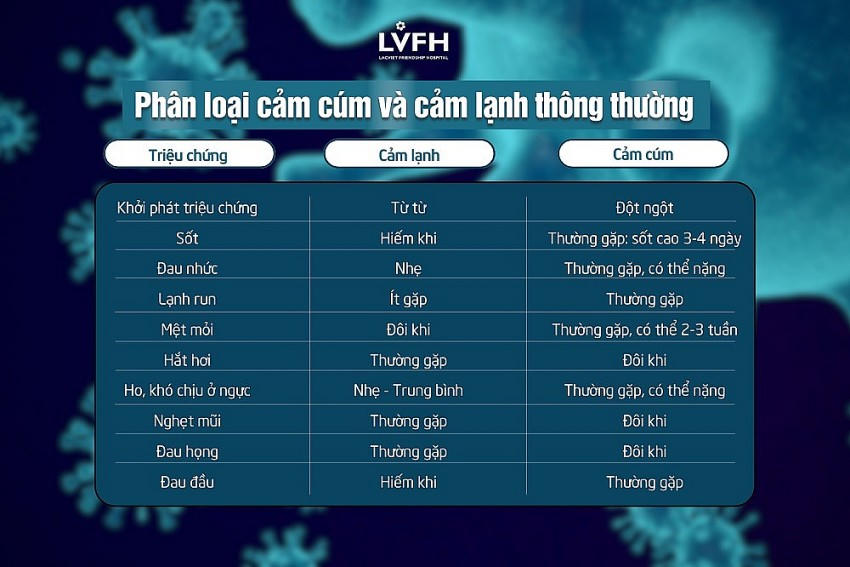 Phân loại cảm cúm và cảm lạnh thông thường. (Ảnh: LVFH)