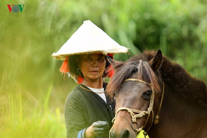 ...ngựa thồ là phương tiện hỗ trợ đặc trưng của bà con vùng cao.