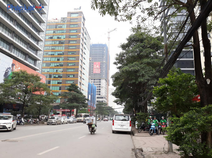 Dự án Dreamland Bonanza 23 Duy Tân là tòa nhà hỗn hợp văn phòng, dịch vụ thương mại và nhà ở.