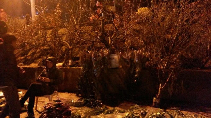 Đào là loài hoa không thể thiếu tại chợ hoa Quảng An dịp giáp tết.