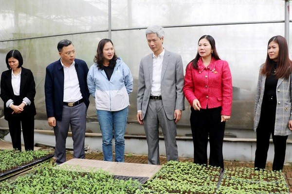 Tổ giám sát tiến hành khảo sát thực tế tại mô hình trồng rau VietGAP ở xã Phùng Hưng (Khoái Châu).