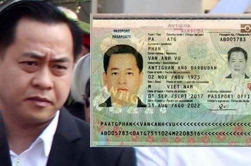 vu-nhom-dao-tau-2