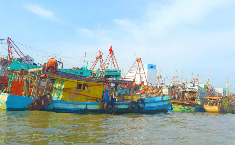 Trên địa bàn tỉnh Cà Mau hiện có có 4.222 tàu cá, trong đó có 1.545 tàu cá dài từ 15 mét trở lên đang hoạt động khai thác hải sản.