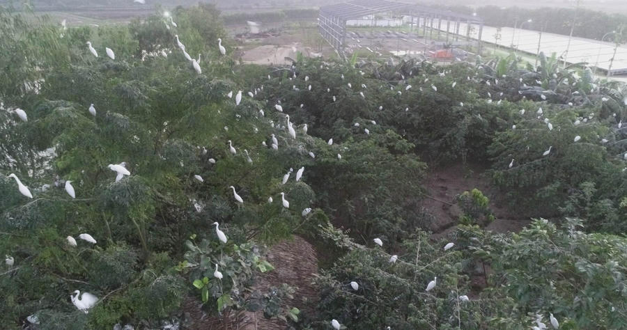 321539715_855131215752745_6662653231329703502_n