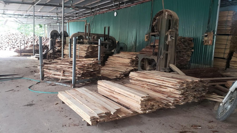 Một xưởng sản xuất gỗ của cá thể hộ gia đình.
