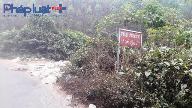 Mặc dù có biển cấm nhưng hàng ngày vẫn xuất hiện những bao tải lợn vô chủ (Ảnh Đào Tấn)