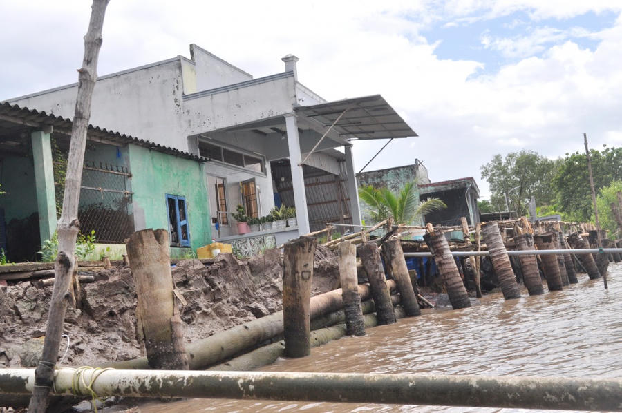 Trên địa bàn xã Năm Căn, sạt lở diễn ra thường xuyên những năm gần đây. Nhiều đoạn lộ bị sụp xuống sông, buộc người dân phải bắc cầu gỗ tạm để qua lại.