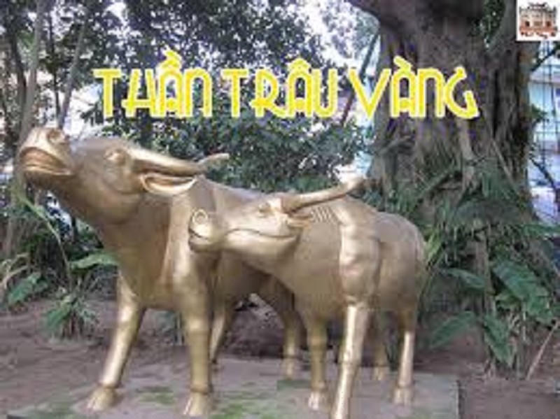Đôi trâu vàng tại Hồ Tây. 