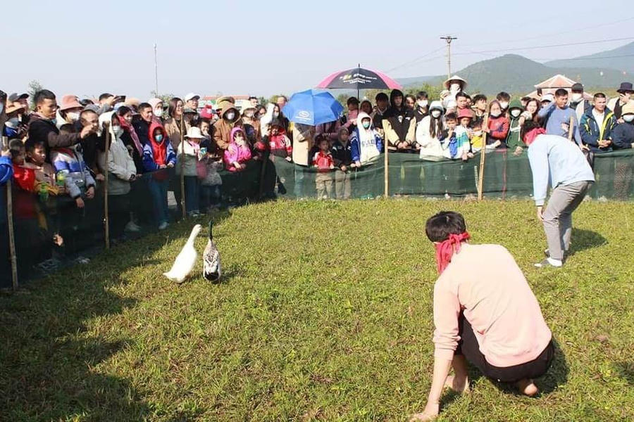 328409431_936154437408539_6903317475181041570_n