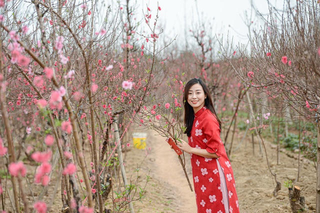 Dịp này một số chủ vườn có thêm nguồn thu từ những người đến chụp hình lưu niệm cùng hoa đào.