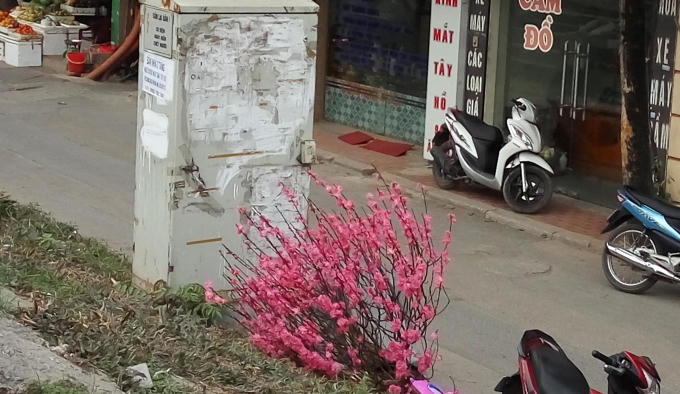 "Xuân" cũng tàn,..
