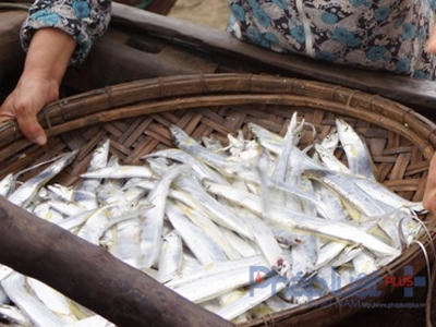 Sau buổi đối thoại trực tiếp với ngư dân, Bí thr tỉnh Thanh Hóa khẳng định: bà con vẫn cứ ra khơi đánh bắt như bình thường. (Ảnh: Anh Thắng)