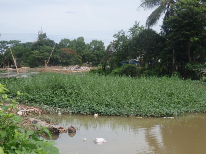 Cỏ mọc um tùm, đất bồi lấp ở gói thầu 21, đoạn sông Thọ Hạc, phường Trường Thi.