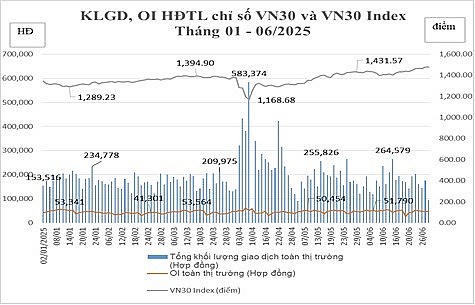 Tổng hợp KLGD, OI HĐTL chỉ số VN30 và VN30 Index. (Đồ hoạ: HNX).