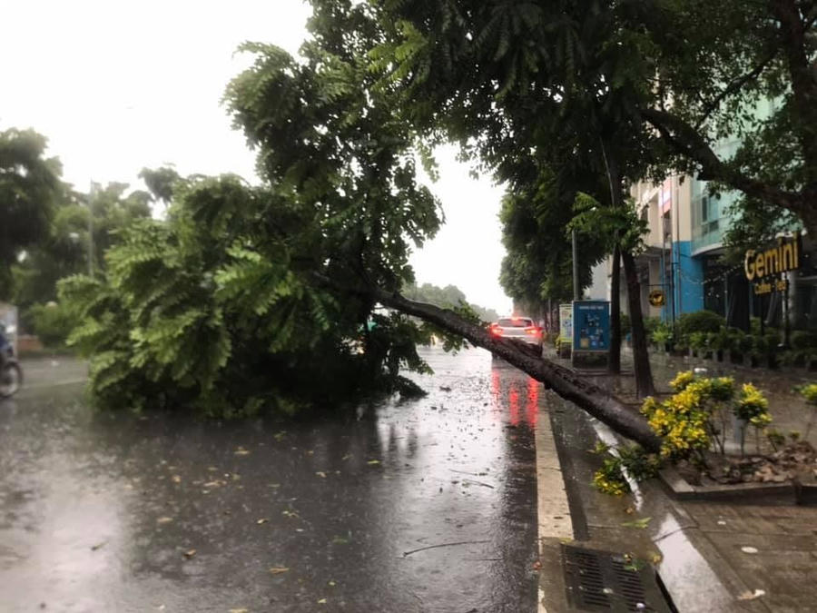 Hà Nội mưa liên tục sau bão, cây xanh gãy đổ ở nhiều nơi - 11