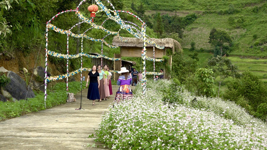 diem tham quan nui tình (5)