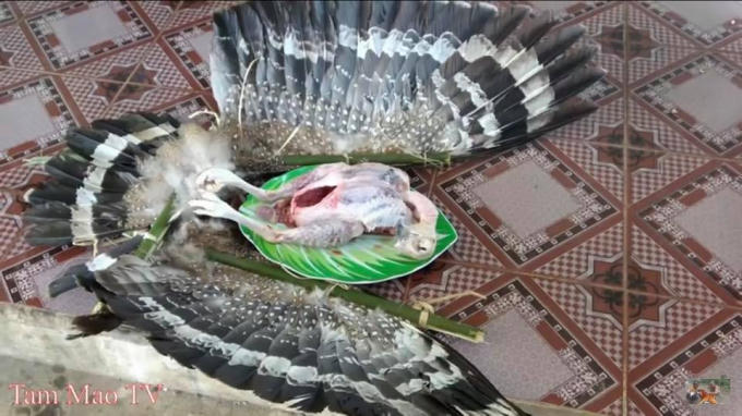 Xác minh hình ảnh anh em nhà