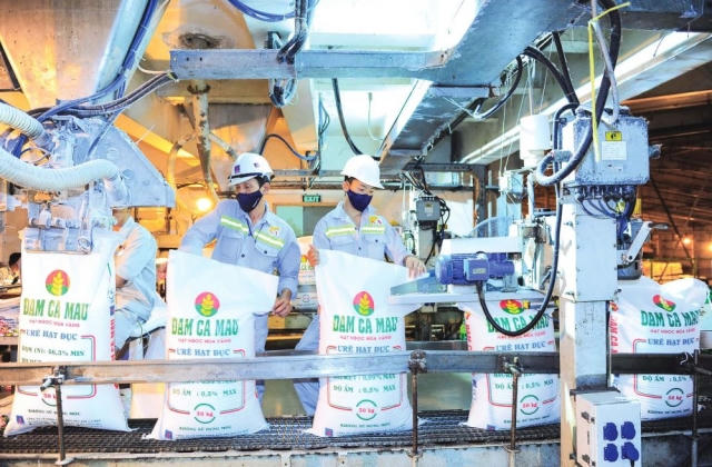 Đạm Cà Mau (DCM): Lãi ròng sau 6 tháng giảm 80%, nợ ngắn hạn tăng