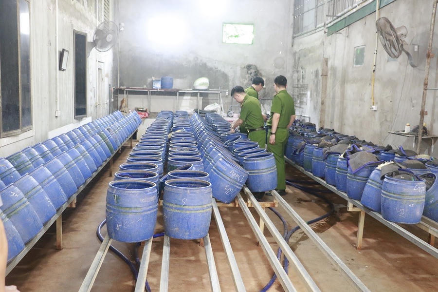 Số lượng "khủng" thùng chứa giá đỗ ngâm hóa chất - Ảnh Công an Nghệ An.