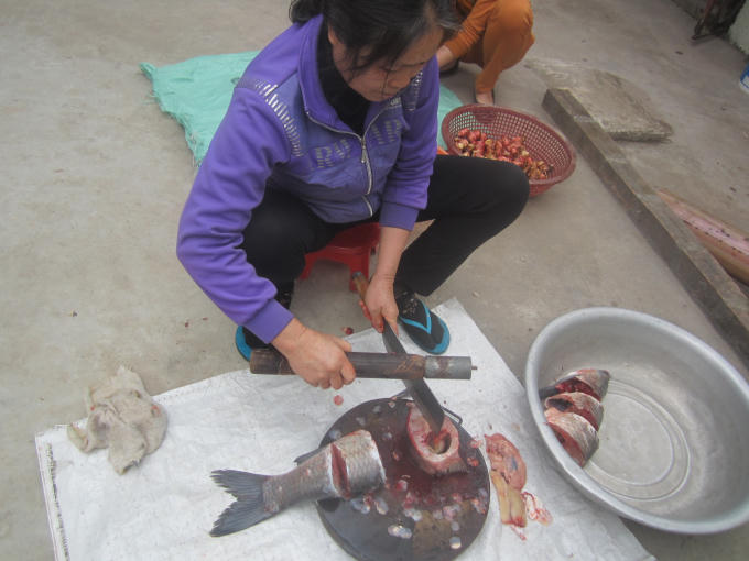 Cá được sơ chế, bỏ đầu, cắt thành từng miếng và để ráo.