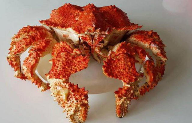 Cua &Uacute;c gi&aacute; cả v&agrave;i chục triệu đồng mỗi con.